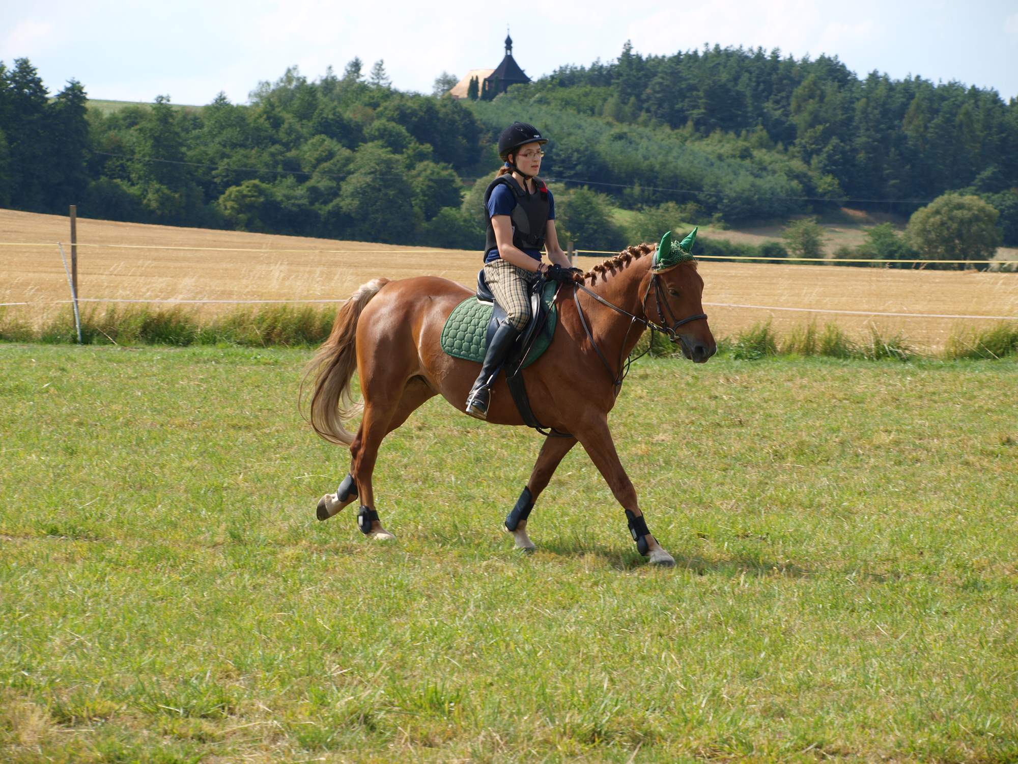 Hanka 4