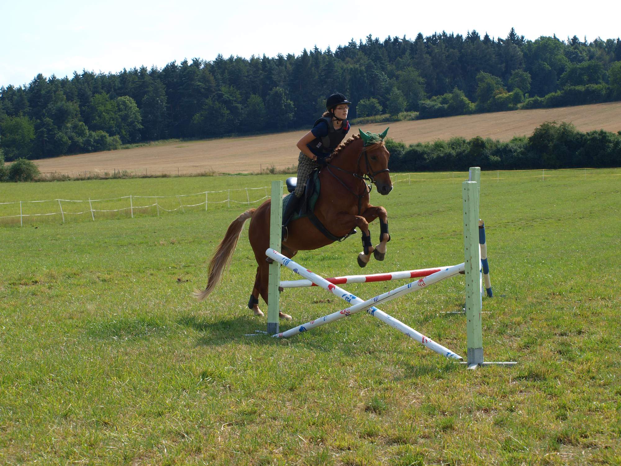 Hanka 5