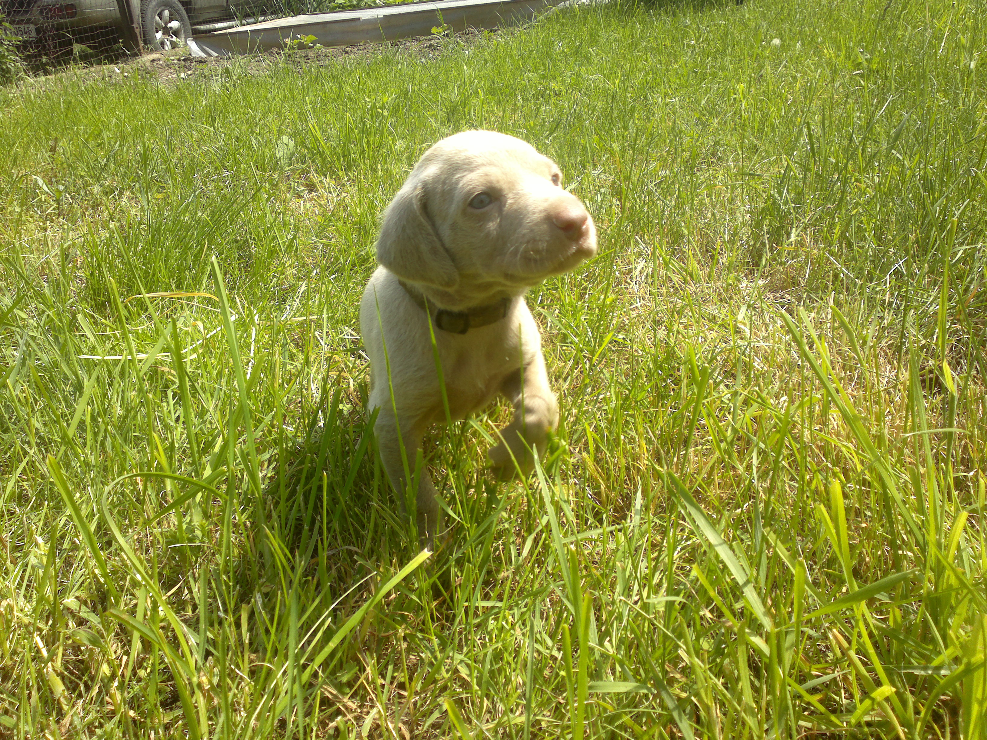 2012-05-15-321